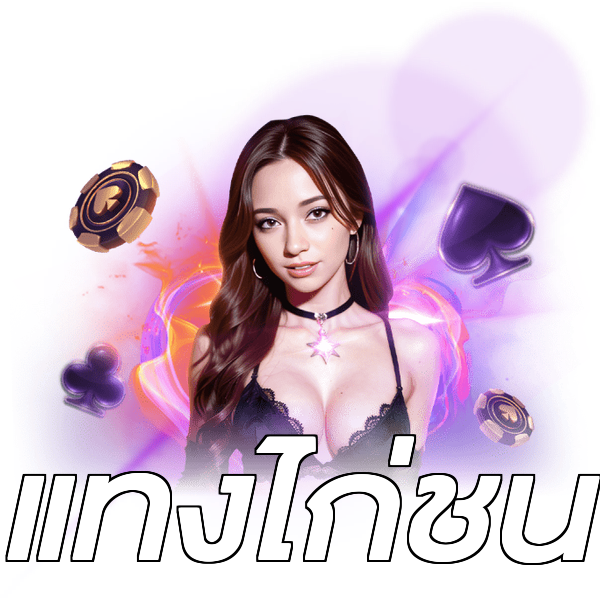 แทงไก่ชน